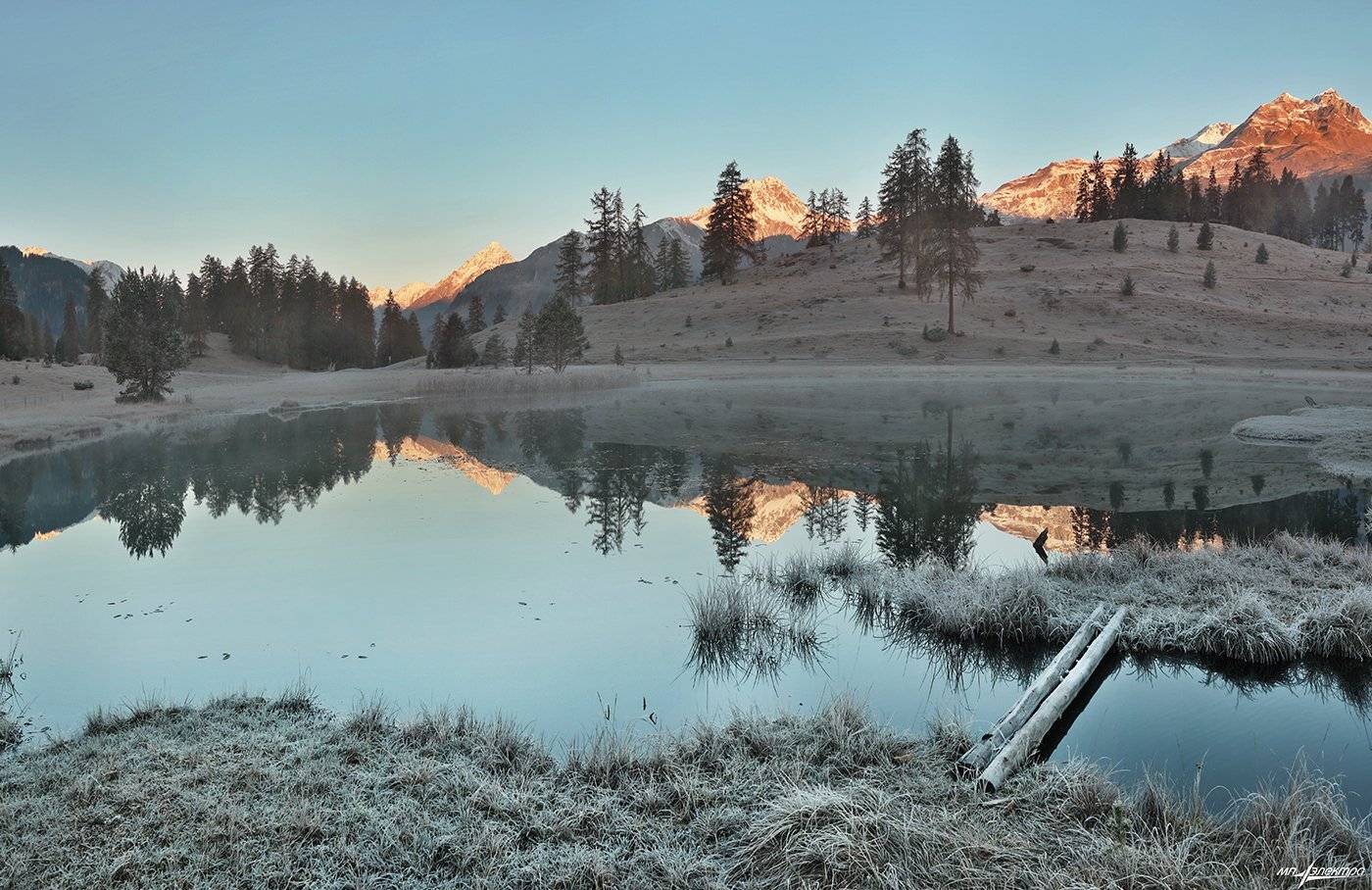 swiss, Матвеев Николай