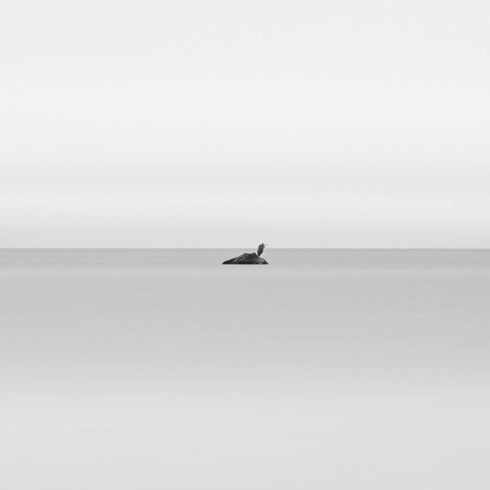 , Александр Абросимов