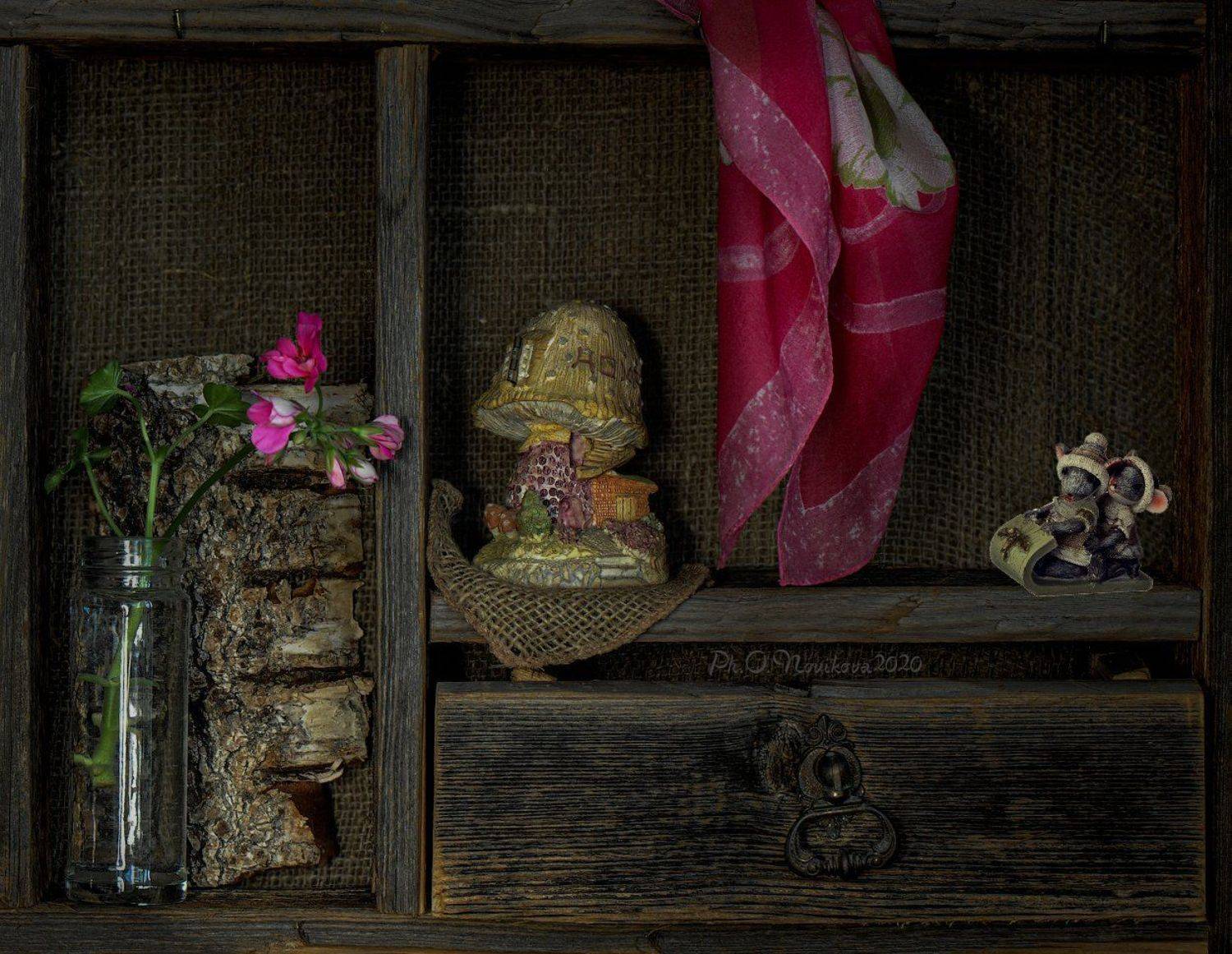 , Ольга Новикова