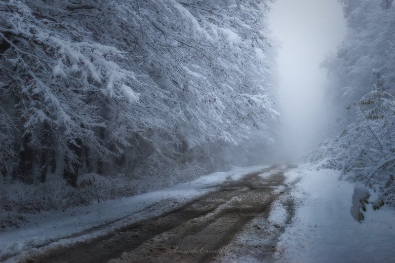 Первый снег фото превью