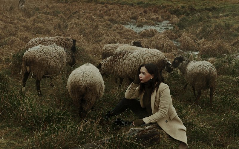 Freedom фото превью