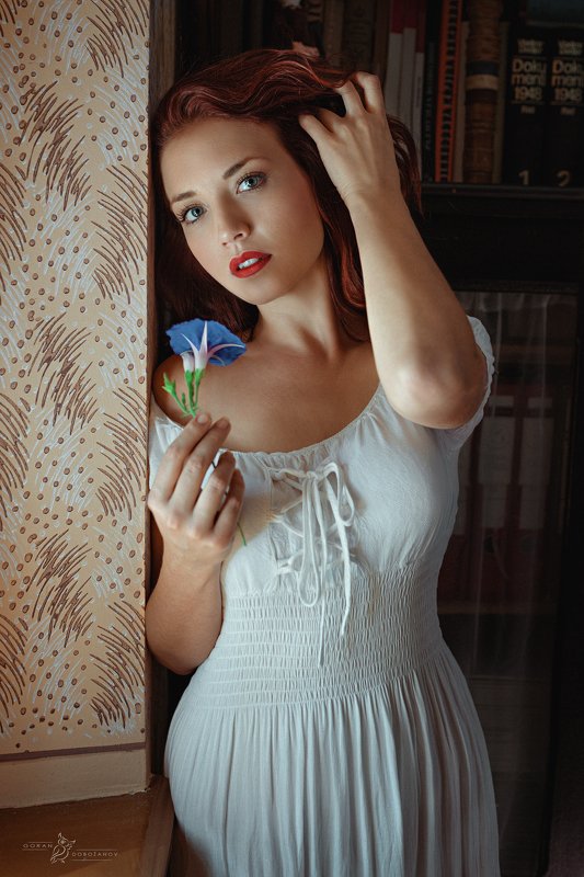 Red vs. Blue фото превью