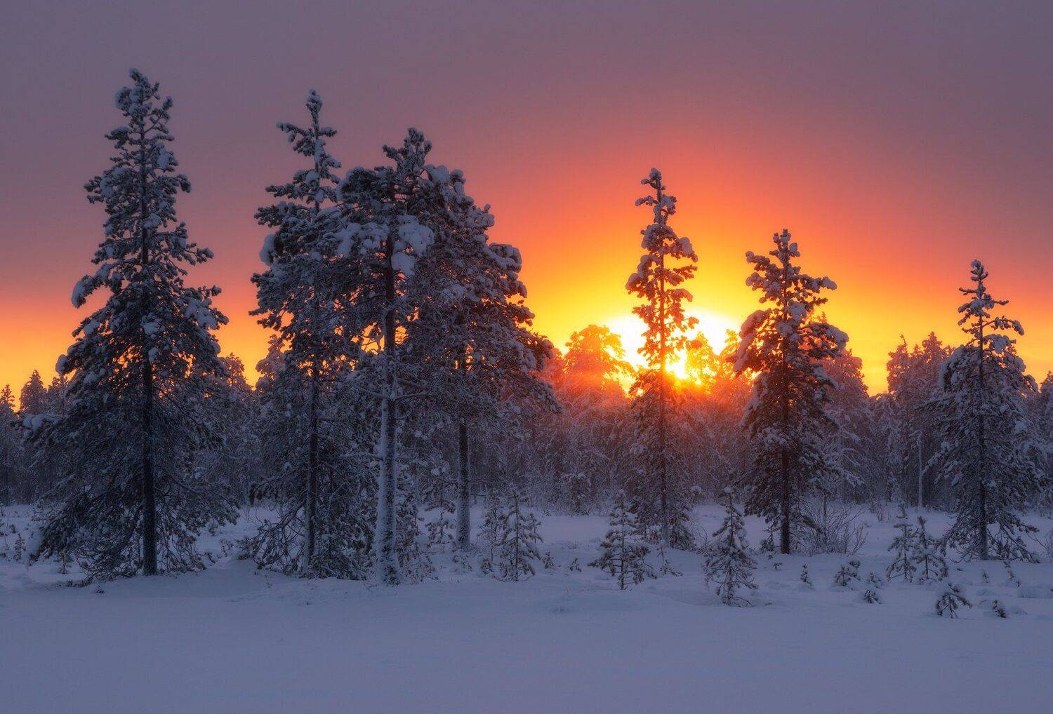 Пейзаж,хибины,кольский,север,снег,зима,закат, Виталий Истомин