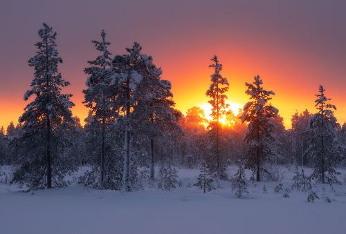 в лучах солнца