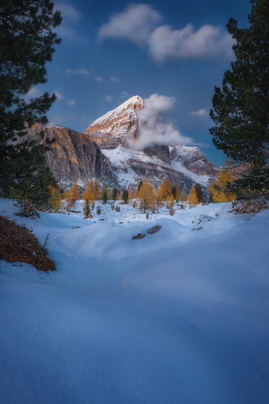 lago, limides, dolomiti, italy, snow, landscape, winter, tree,  lago limides фото превью
