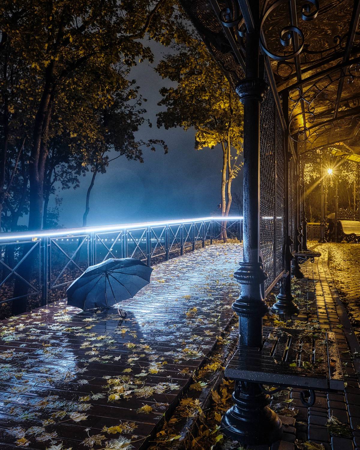 вечер, город, аллея, дождь, зонт, деревья, листья, осень, фонарь, Александр