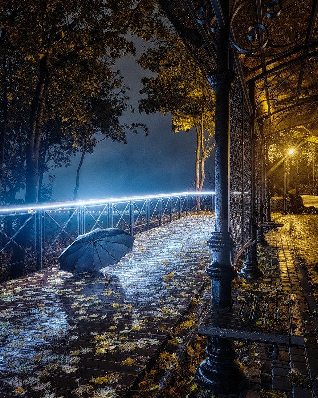 вечер, город, аллея, дождь, зонт, деревья, листья, осень, фонарь Разлука... фото превью