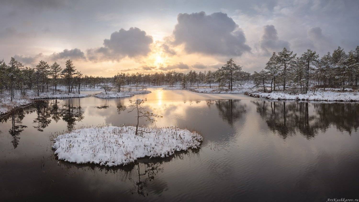 болото, ленобласть, фототур, зимний пейзаж, ленинградская область, первый снег, Арсений Кашкаров