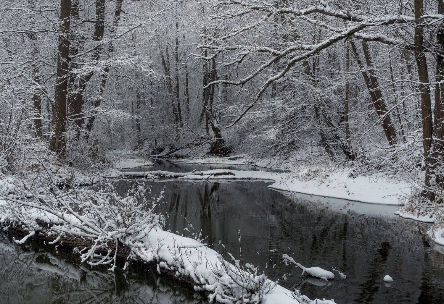 лес, свет, утро, природа, Баранов Олег
