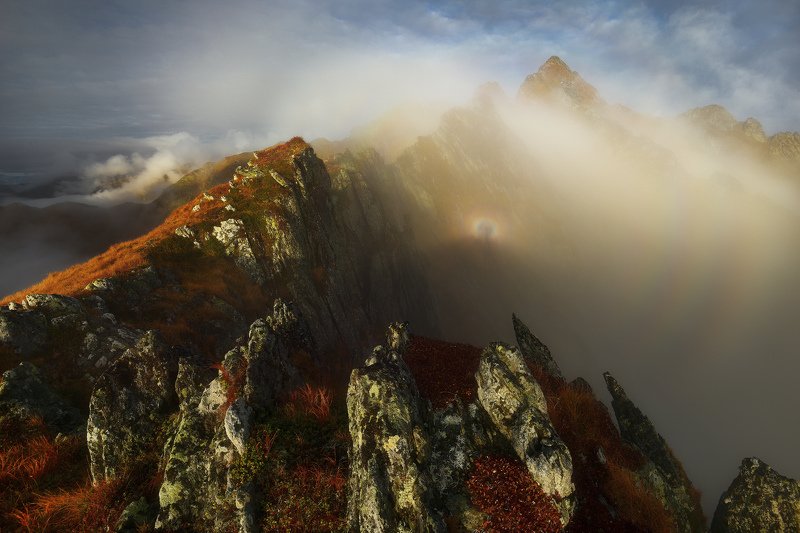 Just like heaven фото превью