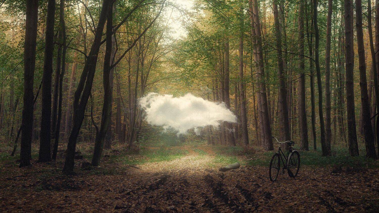 украина, коростышев, лес, душа,   небо, облако, легкие, нежные,  живые,  вознесение,  свет, взгляд в облака, любовь, летать, фотограф, чорный, Александр Чорный