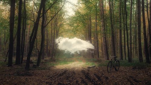 Душа всё забудет и ветру достанется...