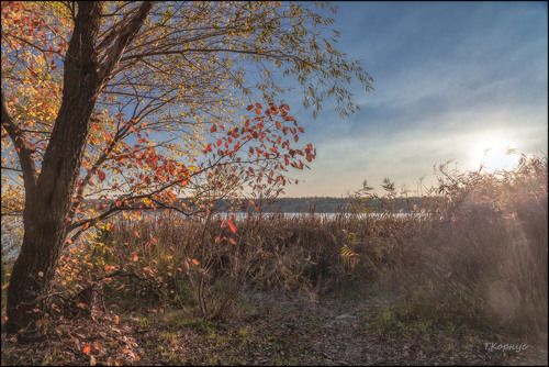 Тёплая осень