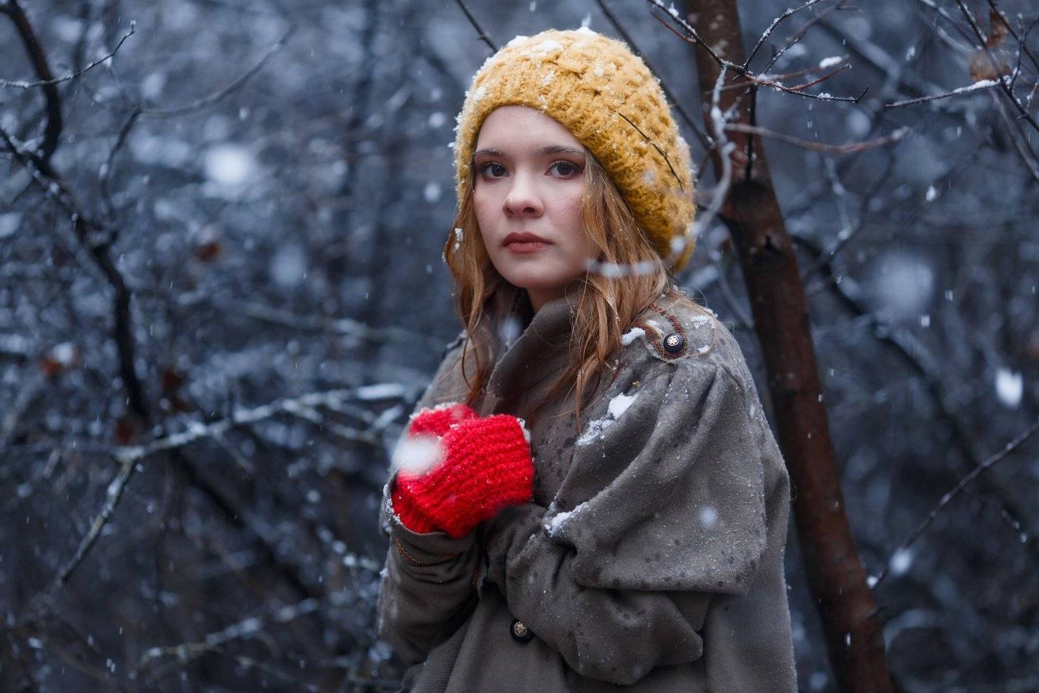 , Владимир Осауленко