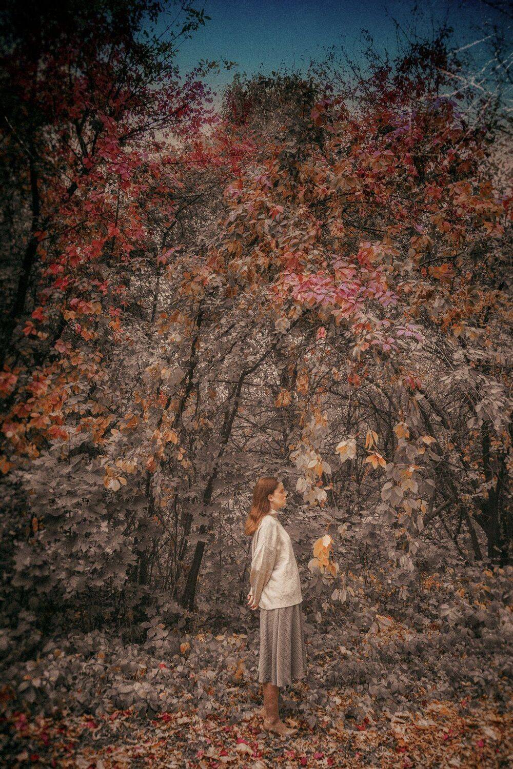 , Максим Михайлов