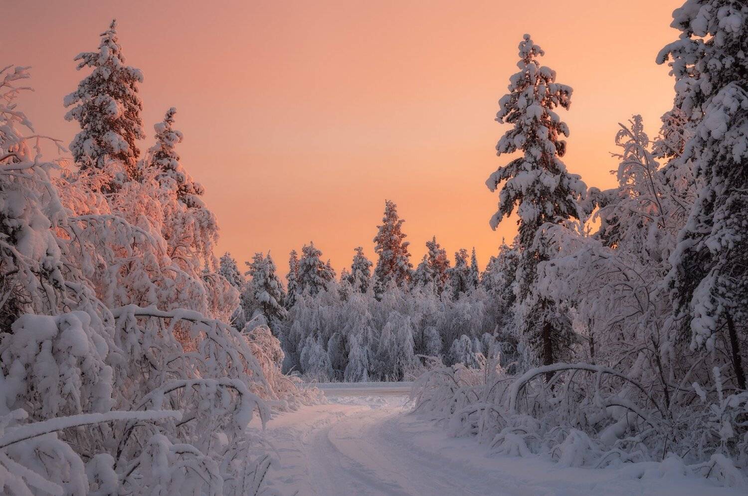 Пейзаж,Мурманская область,север,кольский,снег,свет, Виталий Истомин