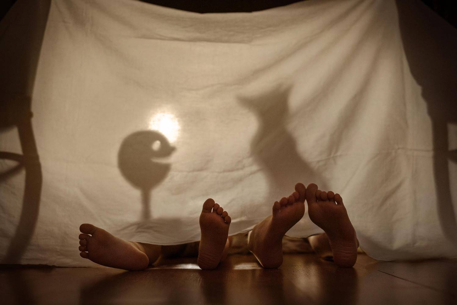 театр теней, колобок, лиса, сказка, досуг, игра, театр, постановка, дети, детство, развлечение, перессказ, ноги, ширма, интересно, дом, вечер, вместе, Мила Шелест