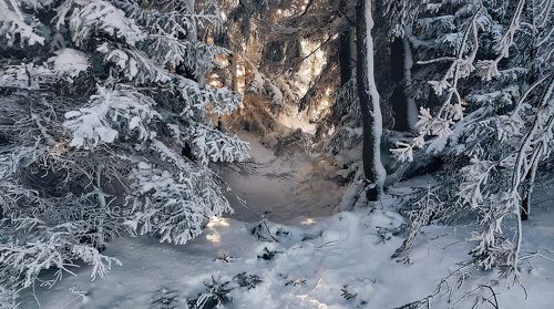 Снежный закуток