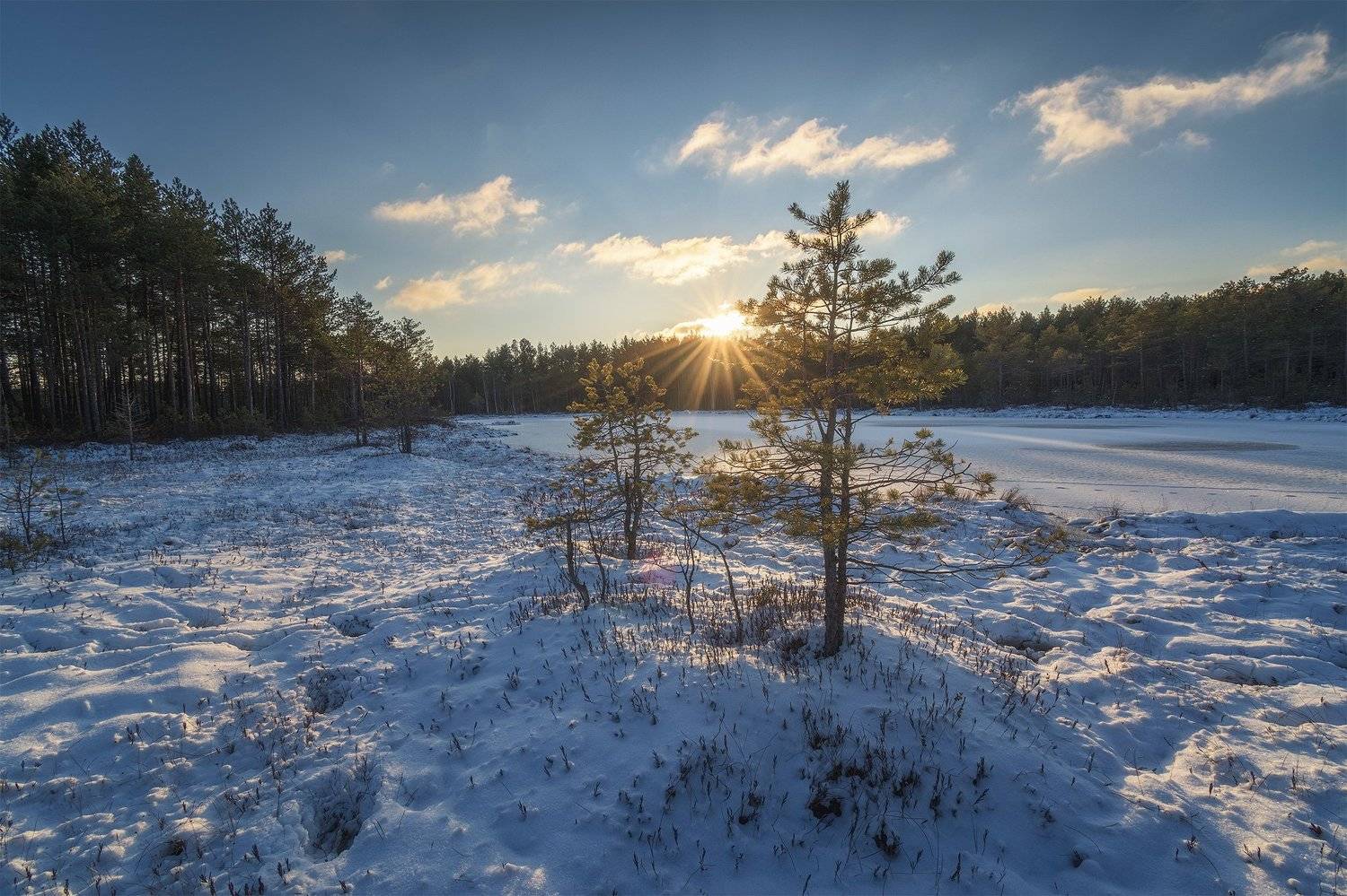 пермь, пермский край, шабуничи, осень, зима, снег, болота, закат, россия, урал, пейзаж, вечер, солнце, Кирилл Кузнецов