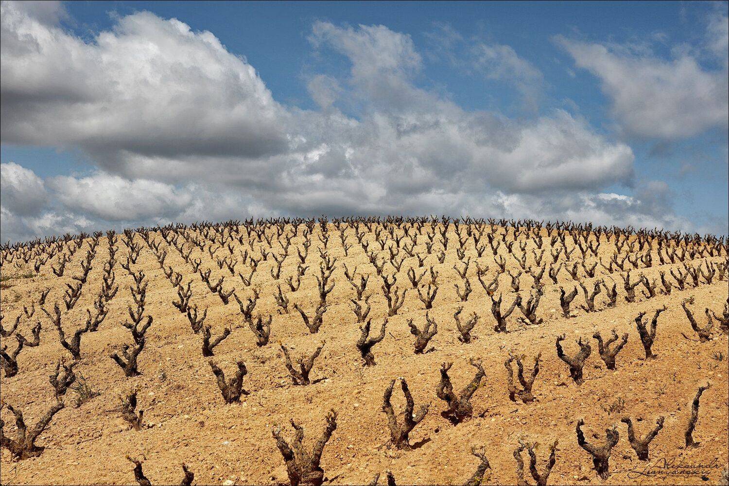 испания, Александр Леснянский