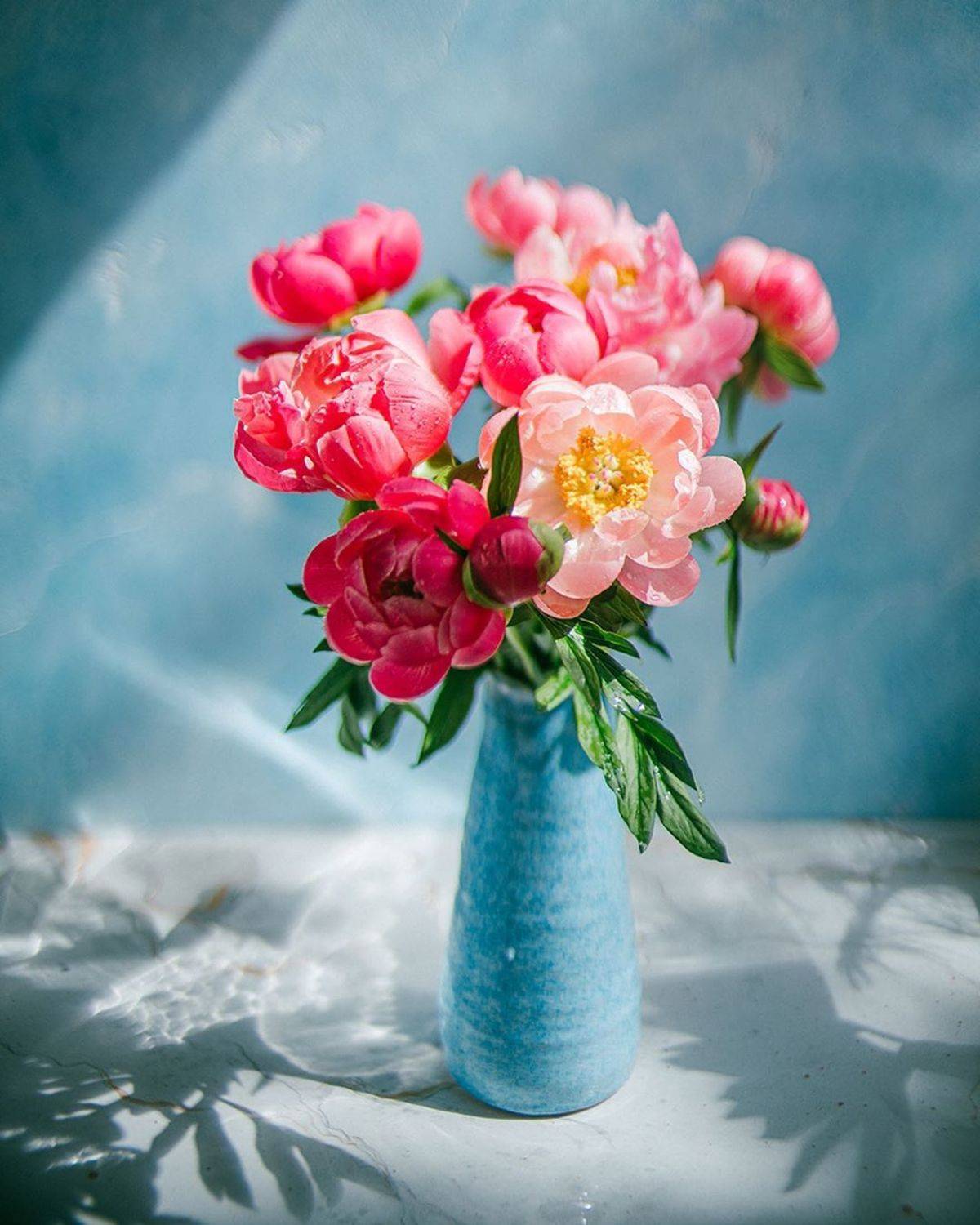 лето, пионы, свет, розовый, желтый, букет, Анастасия Зубкова