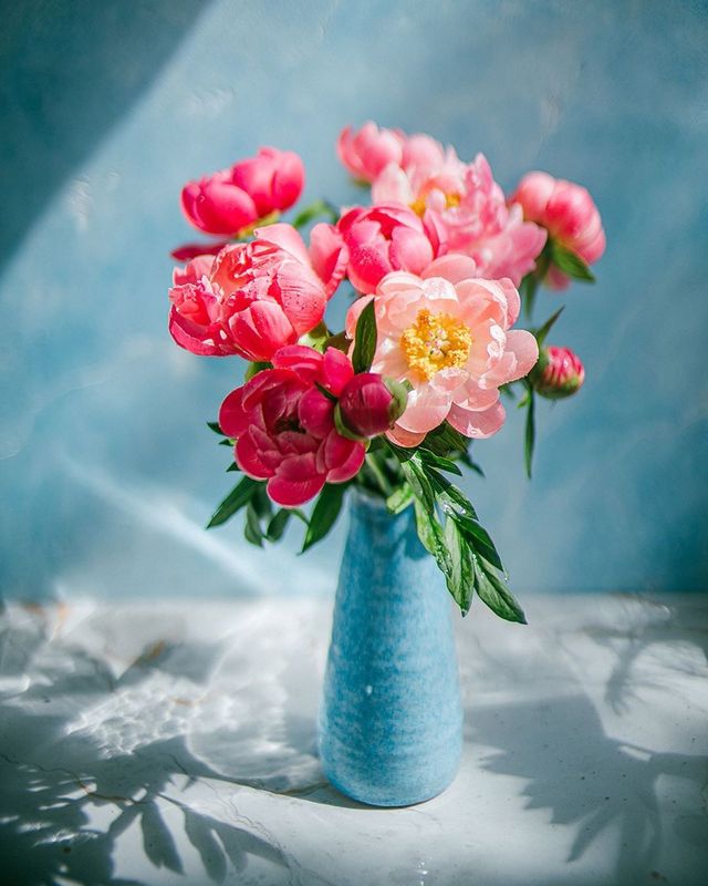 лето, пионы, свет, розовый, желтый, букет  фото превью