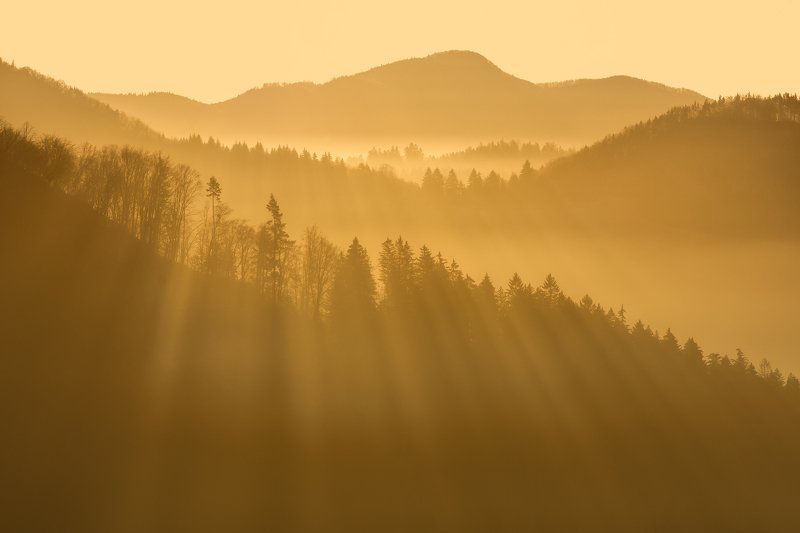 Morning rays фото превью