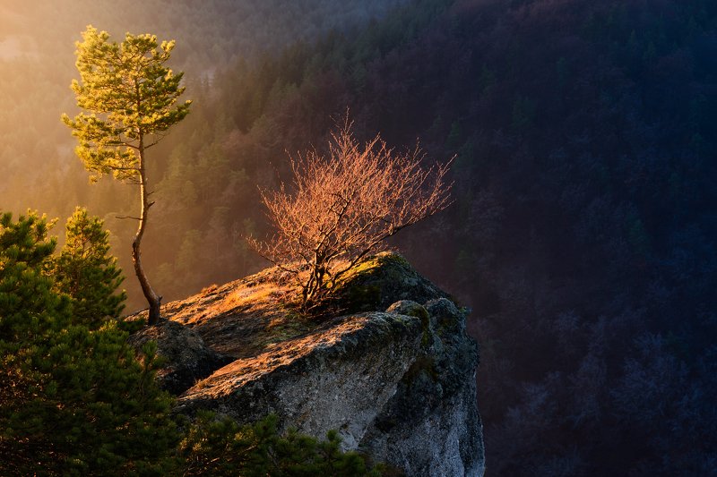 Two friends фото превью
