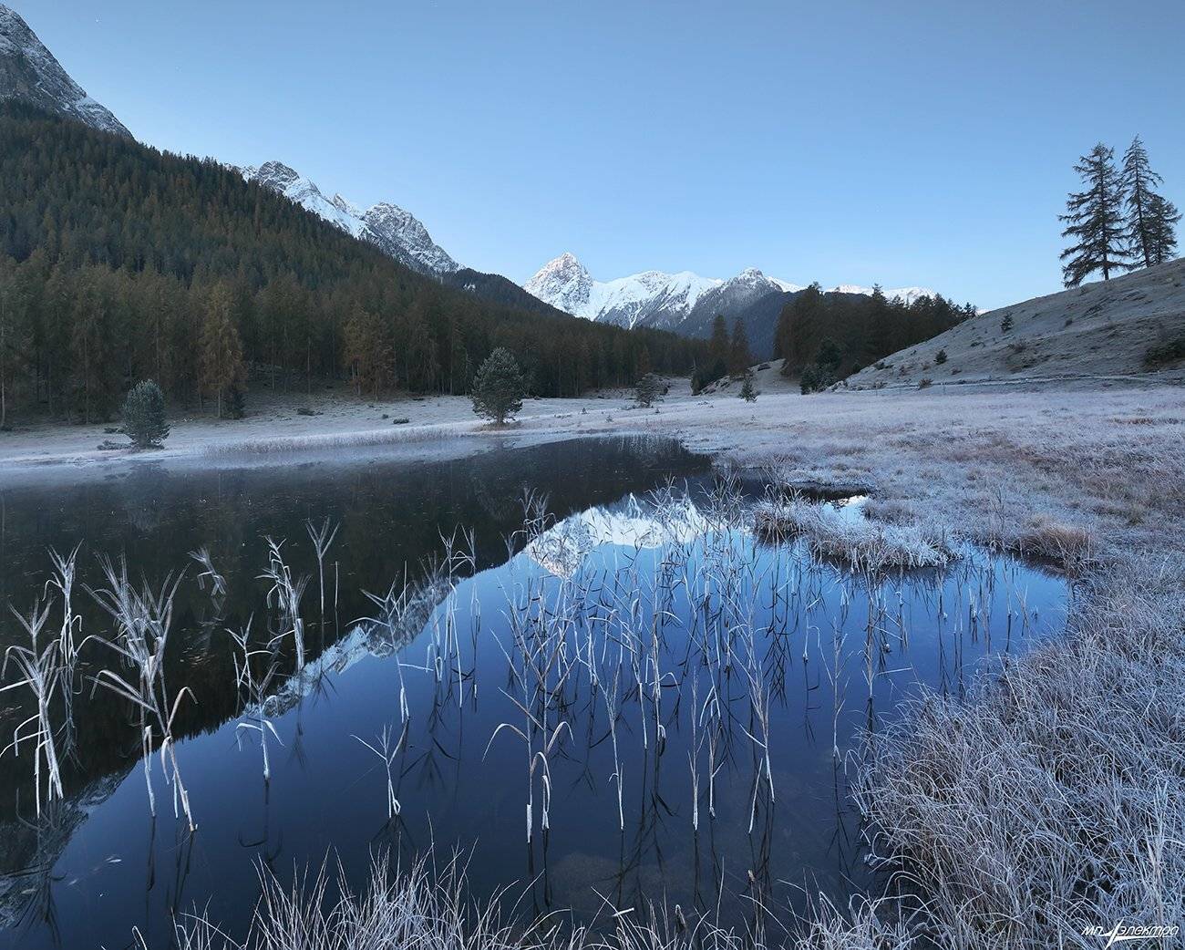 swiss, Матвеев Николай