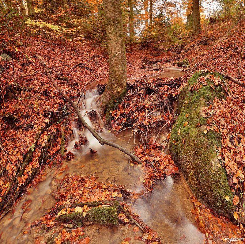 swiss, Матвеев Николай