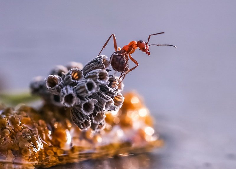 Ты сними,сними меня фотограф... фото превью