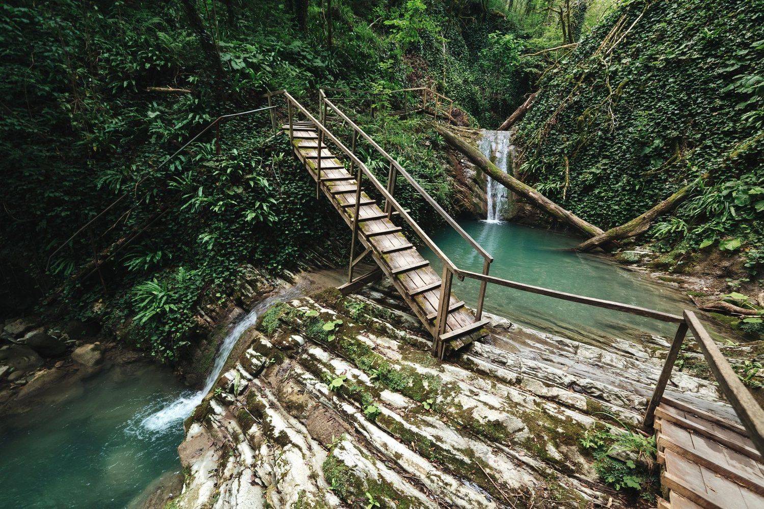 , Элина Хван