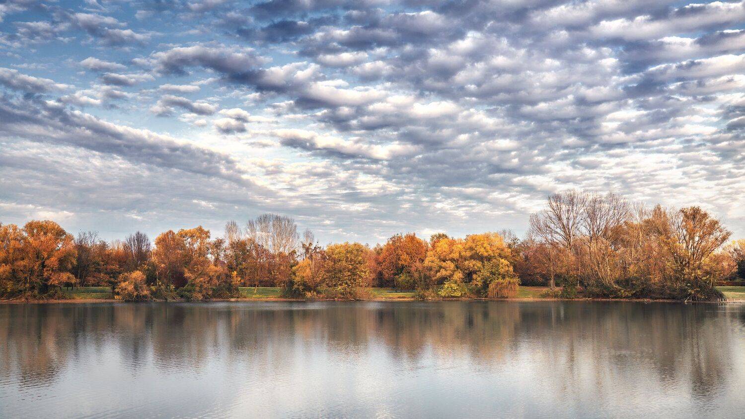 , Сергей Быков