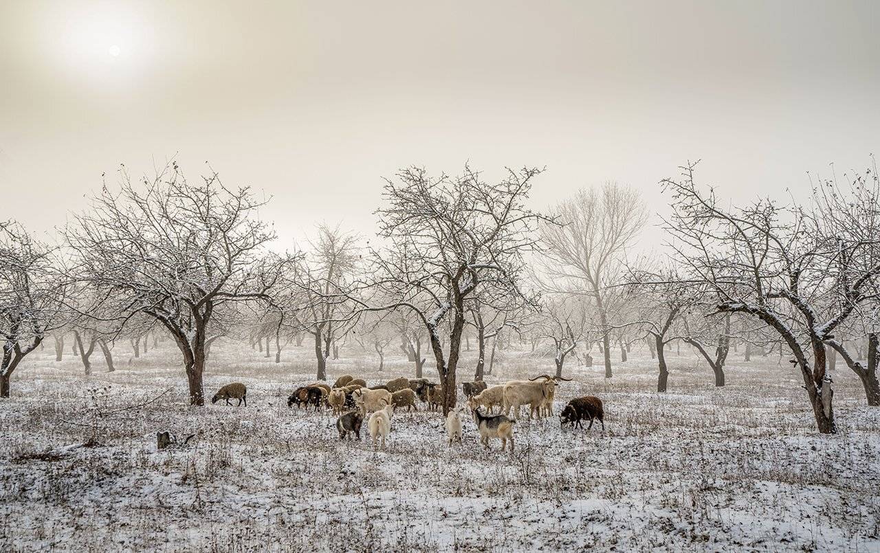 , Игорь Кляхин