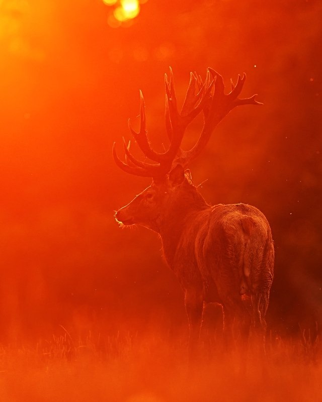 In the fire фото превью