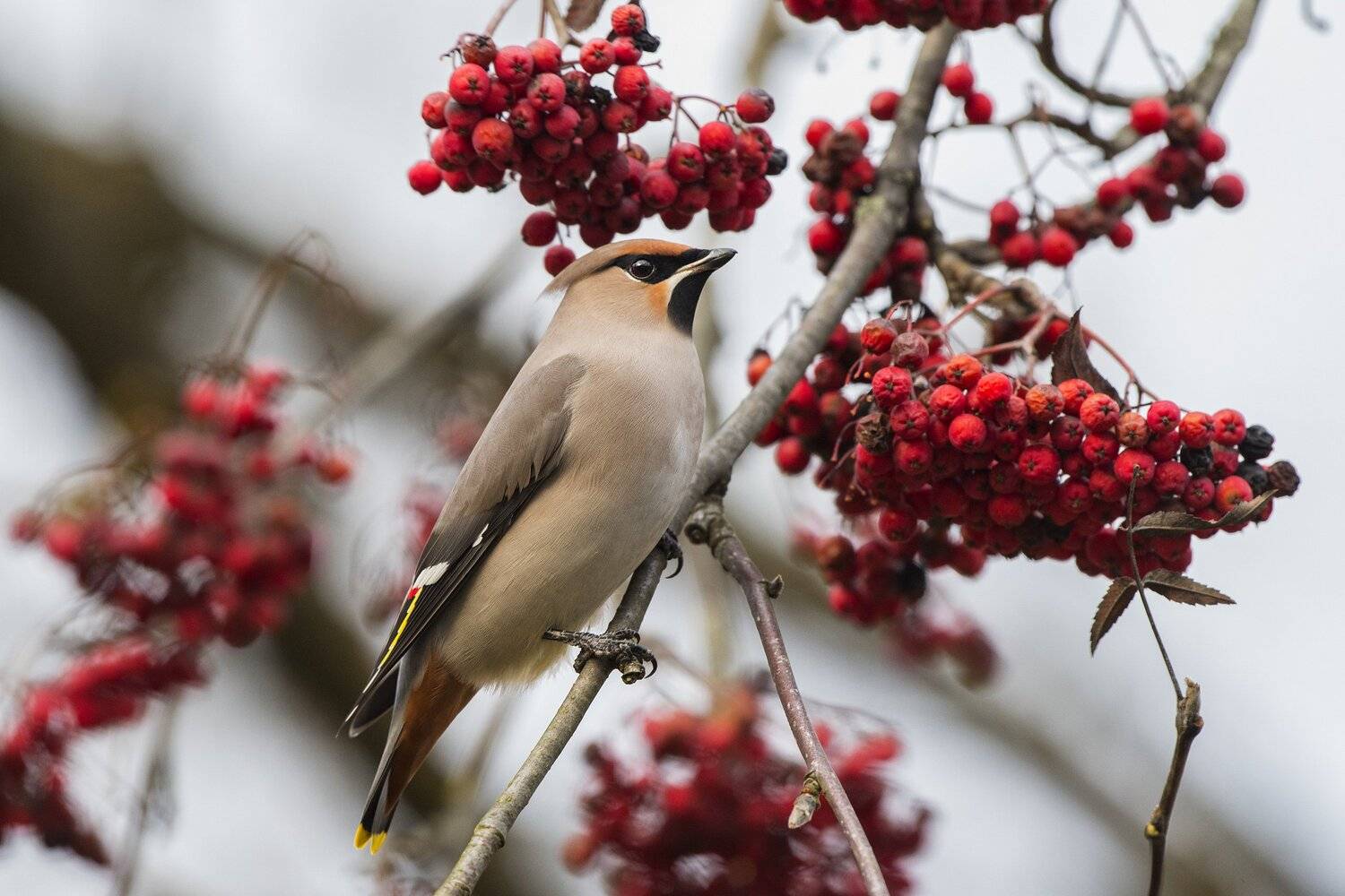 , Юрий Кулаков