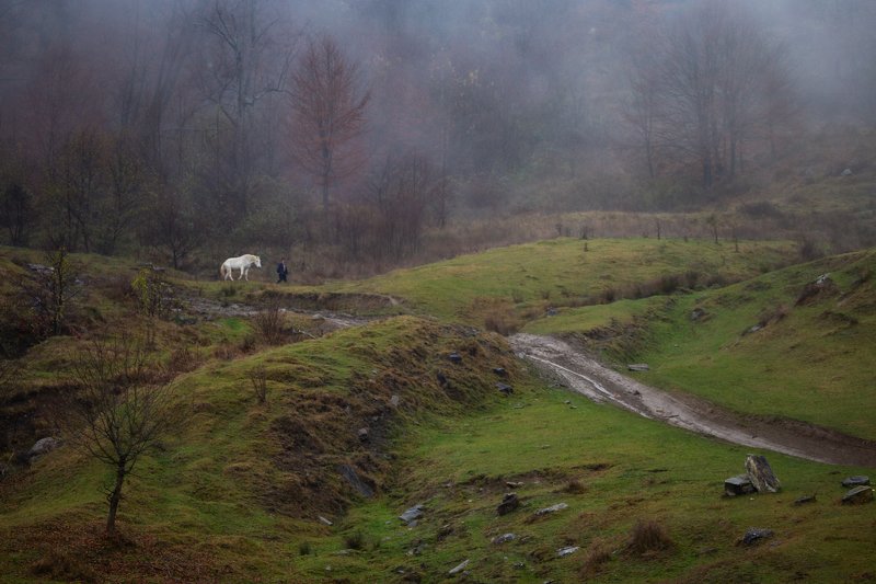 из сказки фото превью