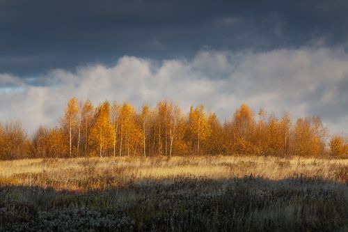 Золотые деньки