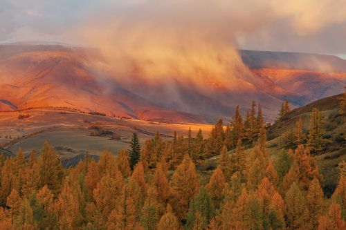 Курайская степь. Алтай.