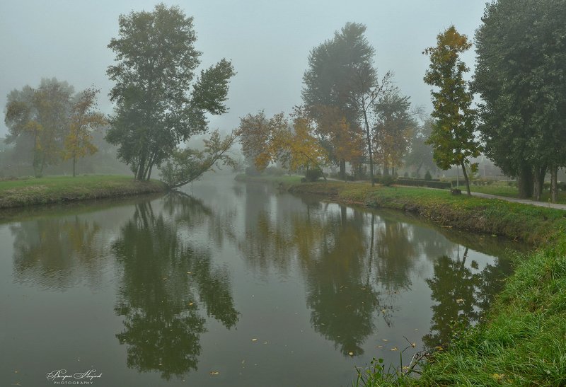 осень, утро, туман, озеро, отражения Осенняя тишина фото превью