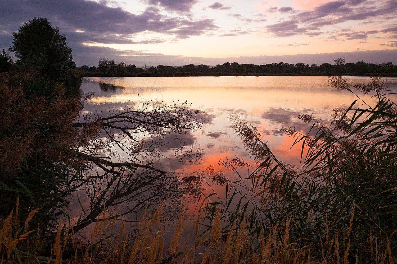 , Robert Adamec