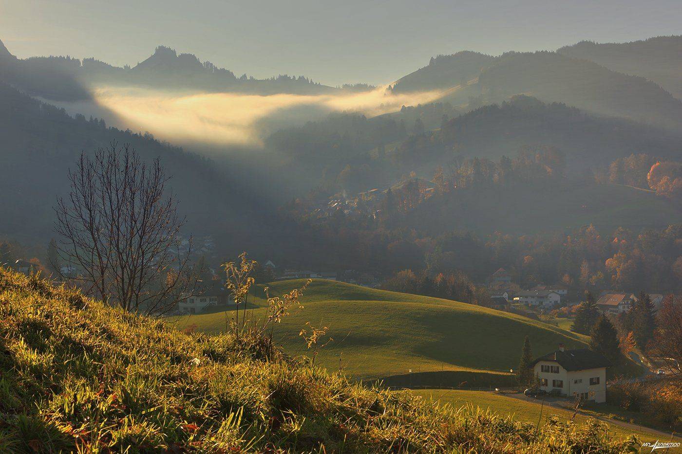 swiss, Матвеев Николай