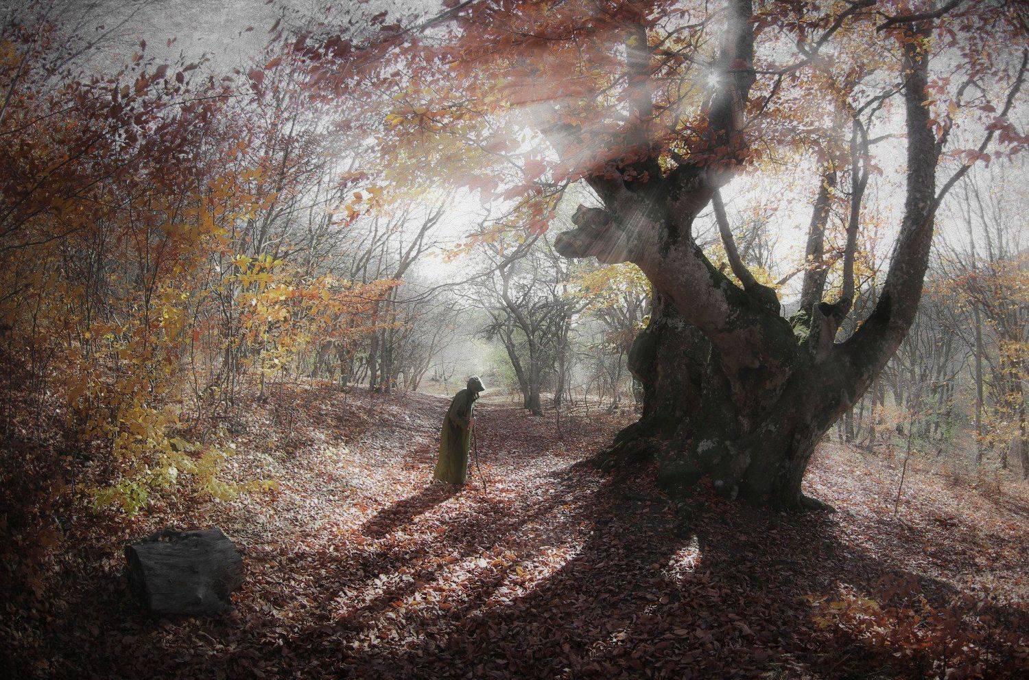 , Ирина Гайворонская