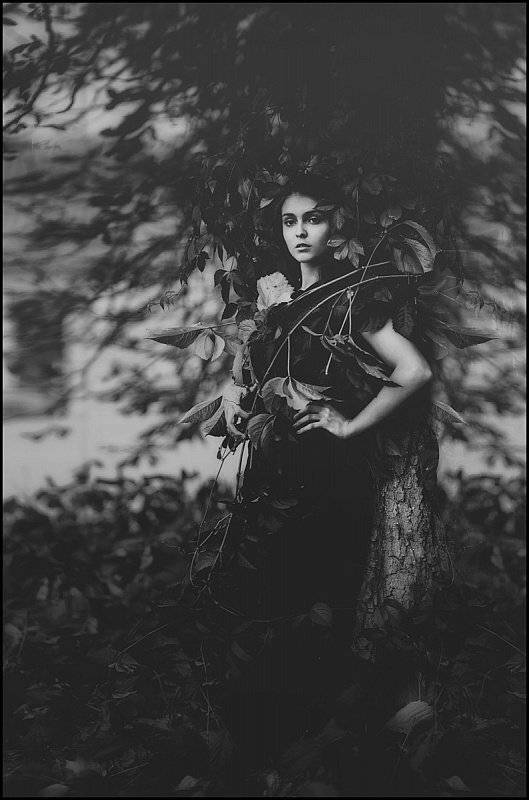 , Гладиш Юрій