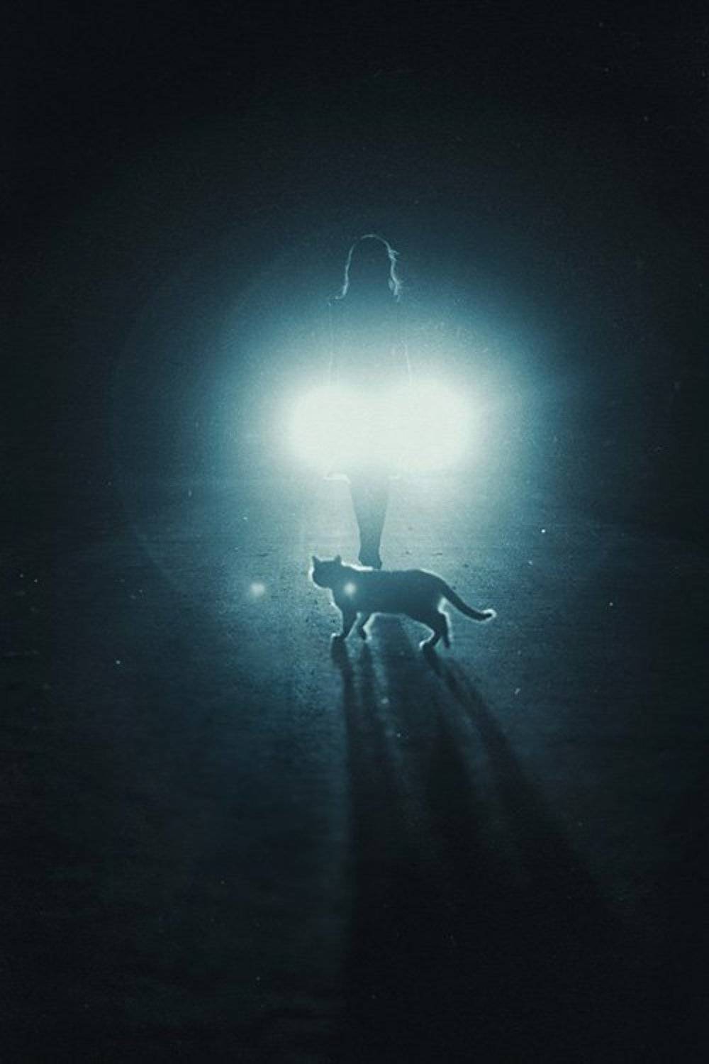 , Геннадий Спиридонов