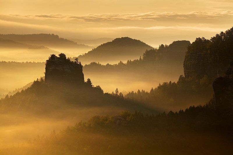 Golden morning