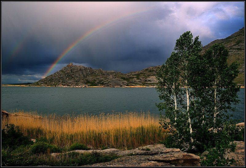 После дождя фото превью