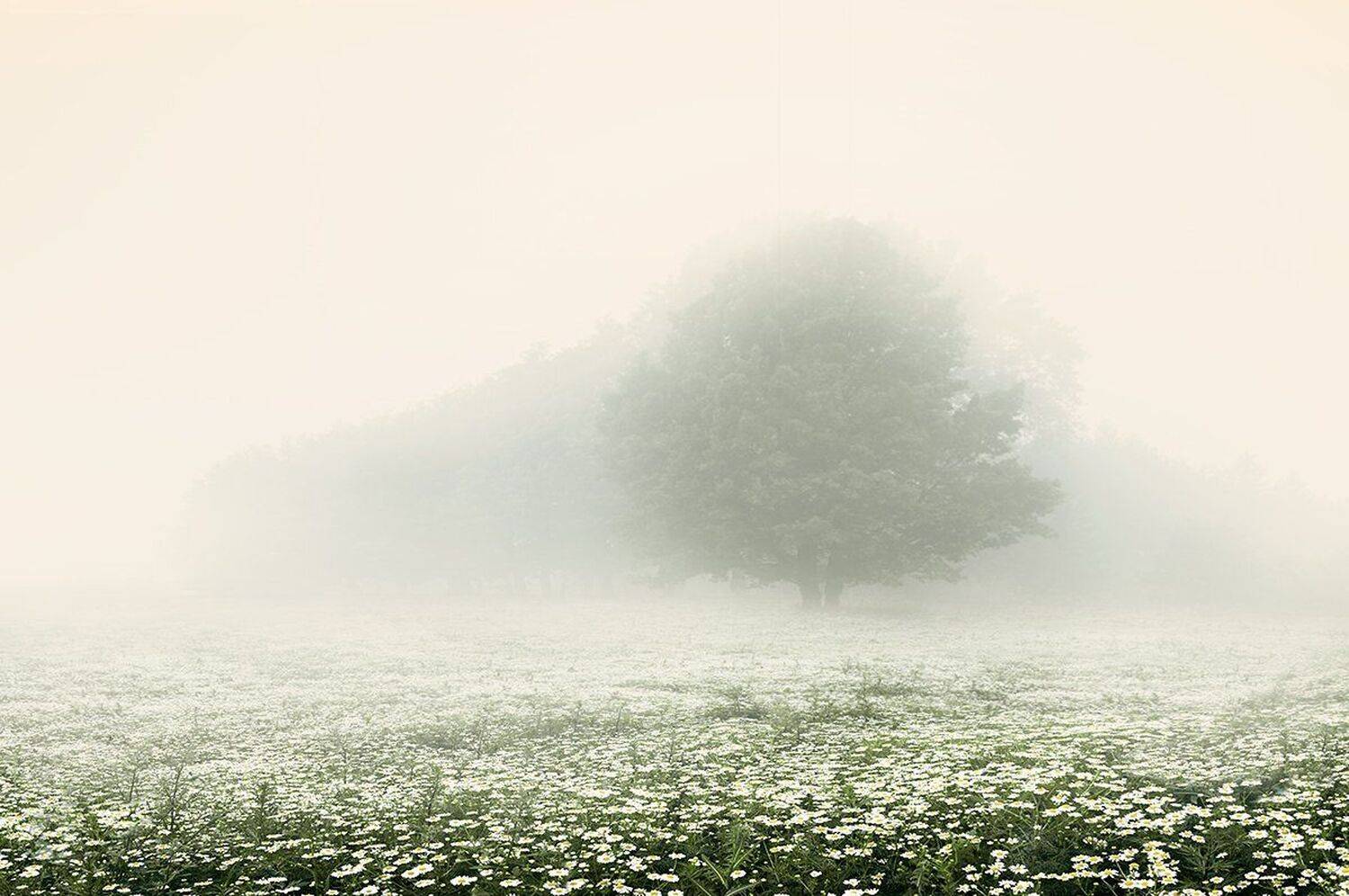 внутреннее_движение, , internal_movement, Сергей Хромов