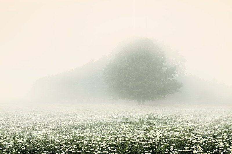 внутреннее_движение, , internal_movement ускользая фото превью