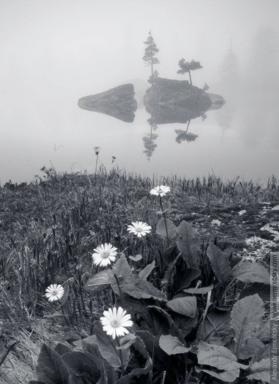 , Александр Ермолицкий